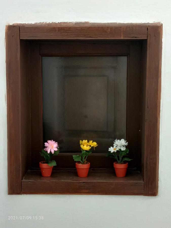 Florhouse Pacini Apartment CTA Exterior foto