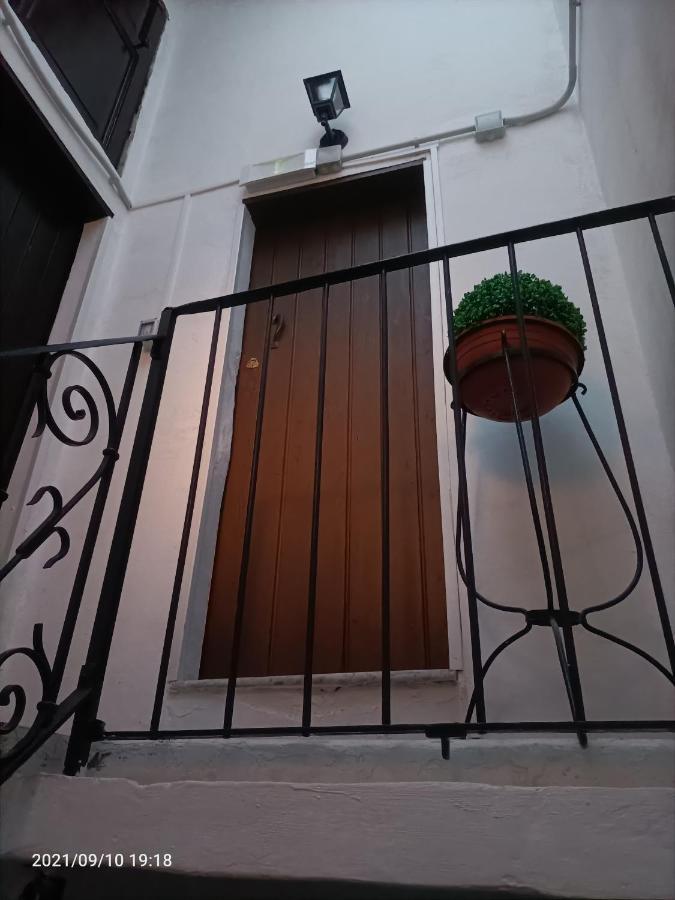 Florhouse Pacini Apartment CTA Exterior foto