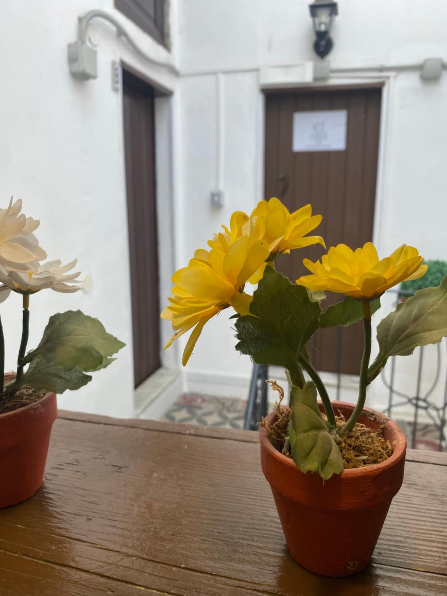 Florhouse Pacini Apartment CTA Exterior foto